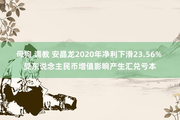 母狗 调教 安晶龙2020年净利下滑23.56% 受东说念主民币增值影响产生汇兑亏本