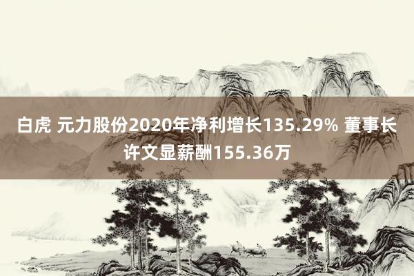 白虎 元力股份2020年净利增长135.29% 董事长许文显薪酬155.36万