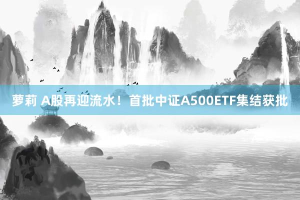 萝莉 A股再迎流水！首批中证A500ETF集结获批