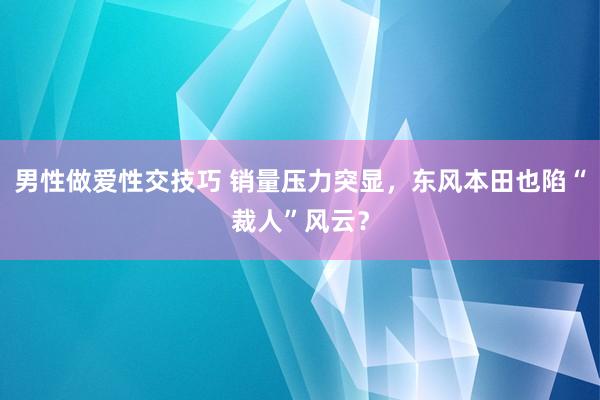 男性做爱性交技巧 销量压力突显，东风本田也陷“裁人”风云？