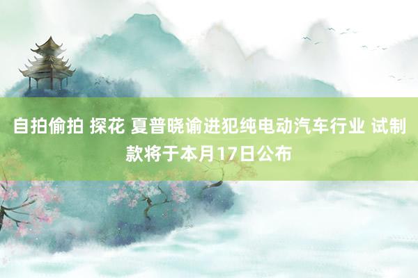 自拍偷拍 探花 夏普晓谕进犯纯电动汽车行业 试制款将于本月17日公布