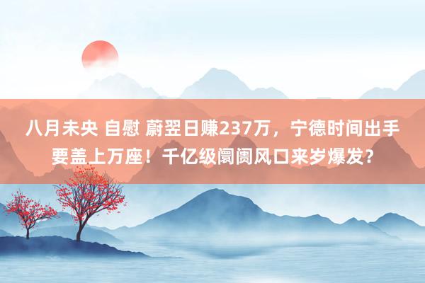 八月未央 自慰 蔚翌日赚237万，宁德时间出手要盖上万座！千亿级阛阓风口来岁爆发？