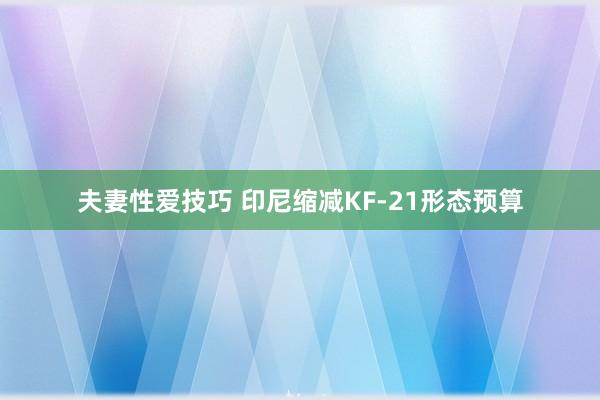 夫妻性爱技巧 印尼缩减KF-21形态预算