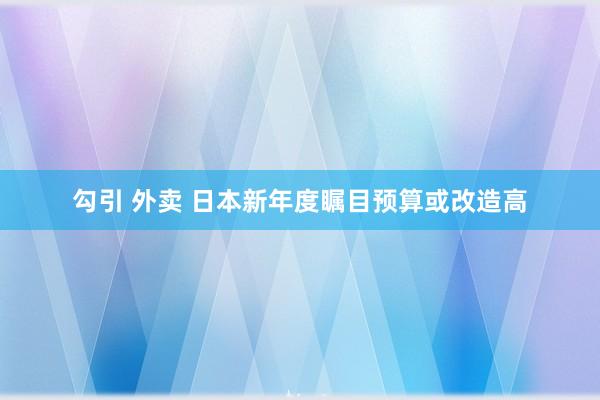 勾引 外卖 日本新年度瞩目预算或改造高