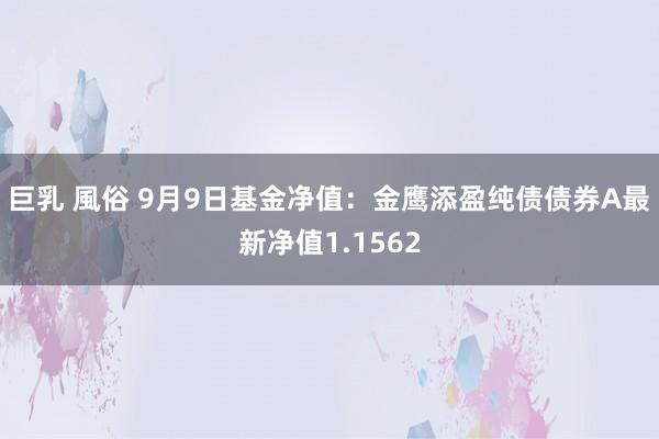 巨乳 風俗 9月9日基金净值：金鹰添盈纯债债券A最新净值1.1562