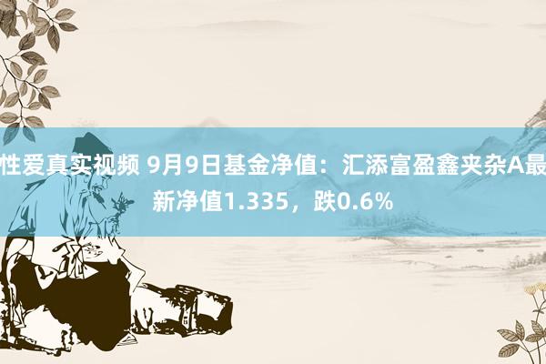 性爱真实视频 9月9日基金净值：汇添富盈鑫夹杂A最新净值1.335，跌0.6%