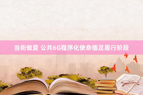 当街做爱 公共6G程序化使命插足履行阶段