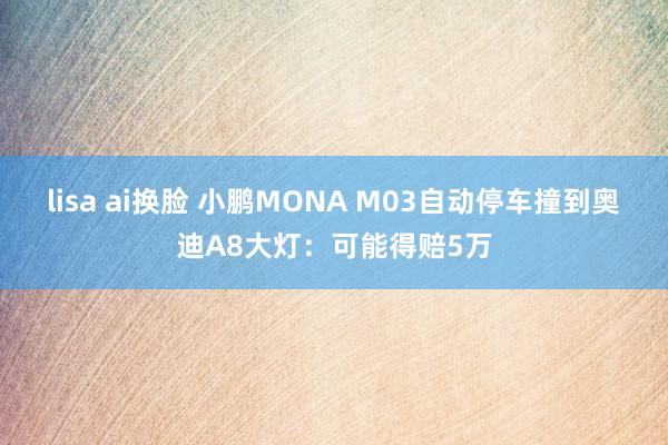 lisa ai换脸 小鹏MONA M03自动停车撞到奥迪A8大灯：可能得赔5万