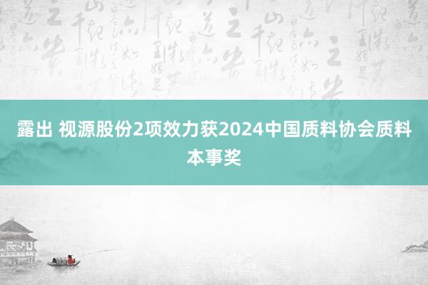 露出 视源股份2项效力获2024中国质料协会质料本事奖