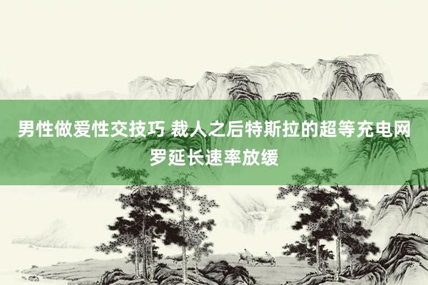 男性做爱性交技巧 裁人之后特斯拉的超等充电网罗延长速率放缓