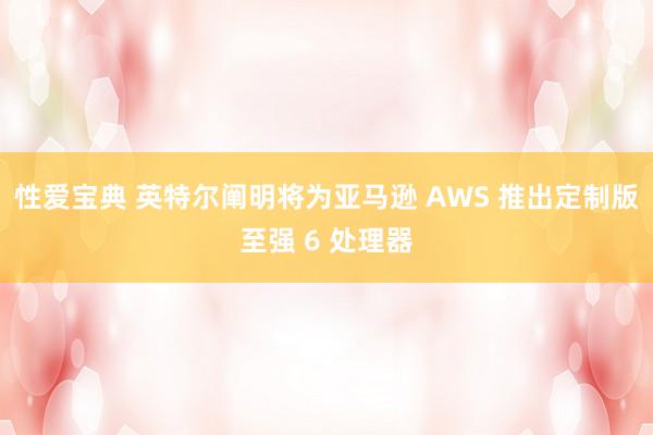 性爱宝典 英特尔阐明将为亚马逊 AWS 推出定制版至强 6 处理器