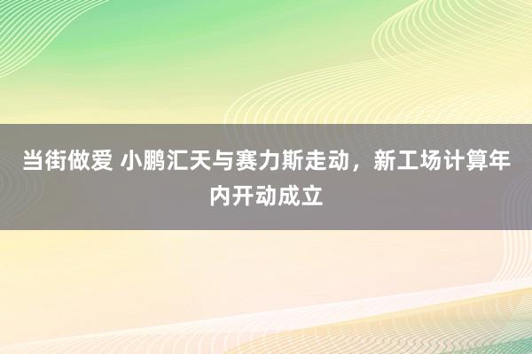 当街做爱 小鹏汇天与赛力斯走动，新工场计算年内开动成立