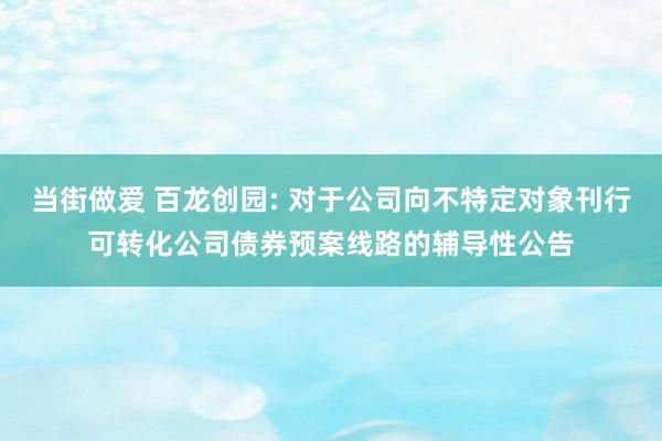 当街做爱 百龙创园: 对于公司向不特定对象刊行可转化公司债券预案线路的辅导性公告