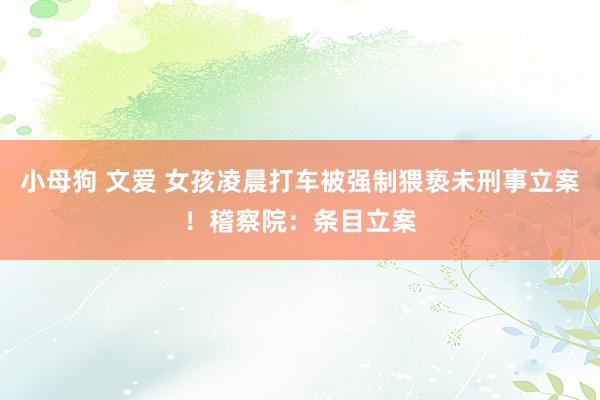 小母狗 文爱 女孩凌晨打车被强制猥亵未刑事立案！稽察院：条目立案