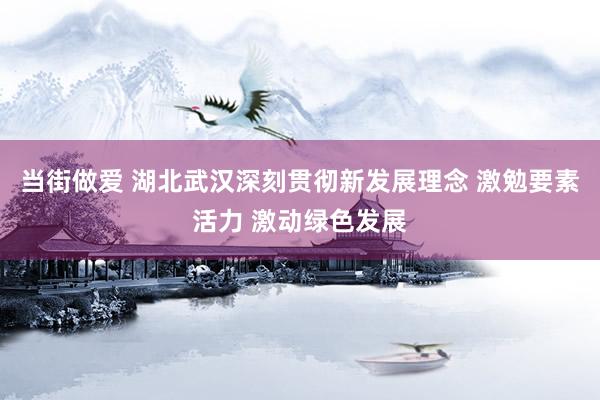 当街做爱 湖北武汉深刻贯彻新发展理念 激勉要素活力 激动绿色发展