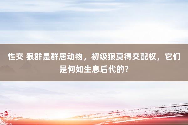 性交 狼群是群居动物，初级狼莫得交配权，它们是何如生息后代的？