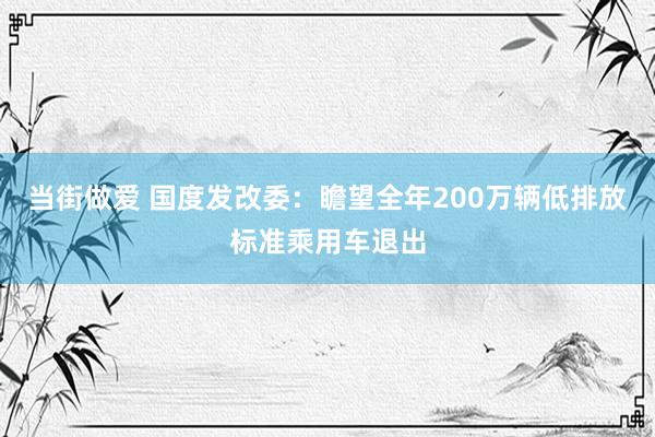 当街做爱 国度发改委：瞻望全年200万辆低排放标准乘用车退出