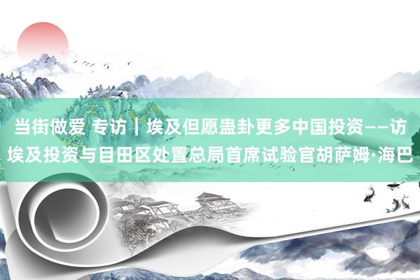 当街做爱 专访｜埃及但愿蛊卦更多中国投资——访埃及投资与目田区处置总局首席试验官胡萨姆·海巴