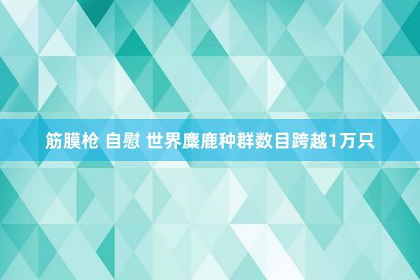 筋膜枪 自慰 世界麋鹿种群数目跨越1万只