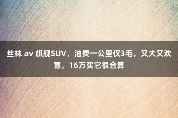 丝袜 av 旗舰SUV，油费一公里仅3毛，又大又欢喜，16万买它很合算