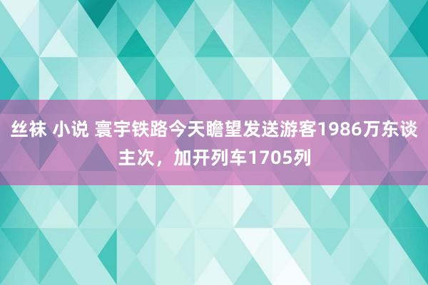 丝袜 小说 寰宇铁路今天瞻望发送游客1986万东谈主次，加开列车1705列