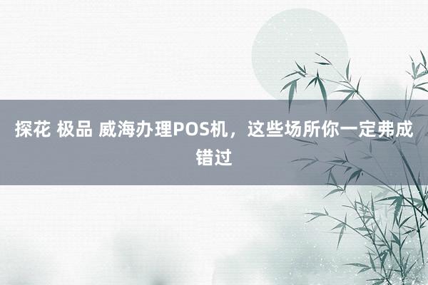 探花 极品 威海办理POS机，这些场所你一定弗成错过