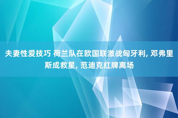 夫妻性爱技巧 荷兰队在欧国联激战匈牙利， 邓弗里斯成救星， 范迪克红牌离场