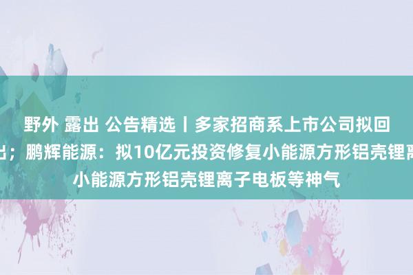 野外 露出 公告精选丨多家招商系上市公司拟回购股份用于刊出；鹏辉能源：拟10亿元投资修复小能源方形铝壳锂离子电板等神气