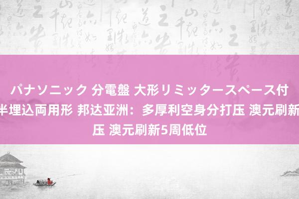 パナソニック 分電盤 大形リミッタースペース付 露出・半埋込両用形 邦达亚洲：多厚利空身分打压 澳元刷新5周低位