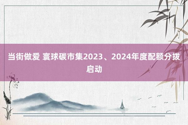 当街做爱 寰球碳市集2023、2024年度配额分拨启动