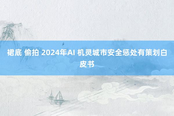 裙底 偷拍 2024年AI 机灵城市安全惩处有策划白皮书