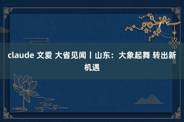 claude 文爱 大省见闻丨山东：大象起舞 转出新机遇