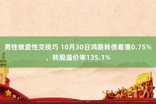 男性做爱性交技巧 10月30日鸿路转债着落0.75%，转股溢价率135.1%