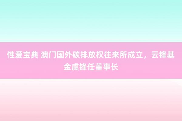 性爱宝典 澳门国外碳排放权往来所成立，云锋基金虞锋任董事长