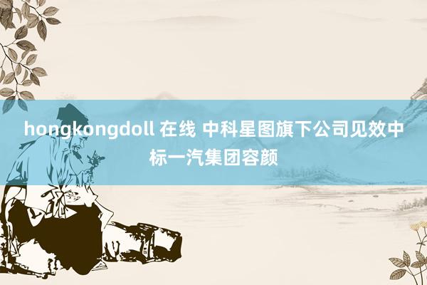 hongkongdoll 在线 中科星图旗下公司见效中标一汽集团容颜