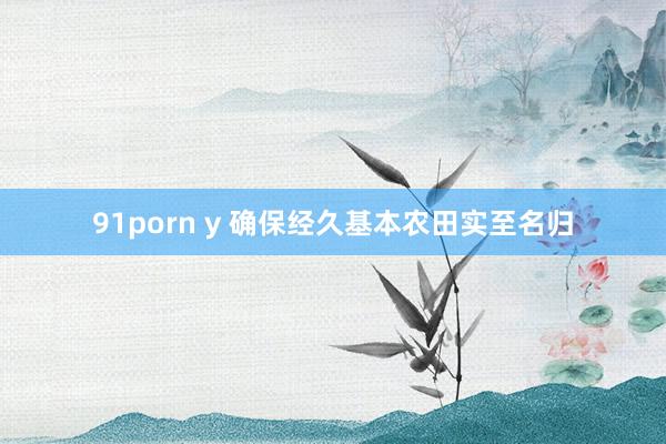 91porn y 确保经久基本农田实至名归