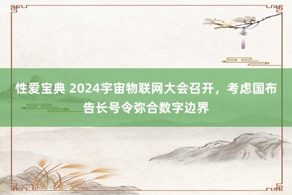 性爱宝典 2024宇宙物联网大会召开，考虑国布告长号令弥合数字边界