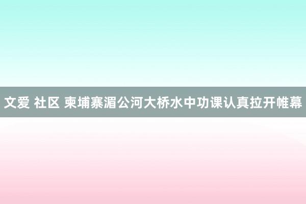 文爱 社区 柬埔寨湄公河大桥水中功课认真拉开帷幕