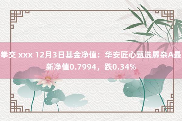 拳交 xxx 12月3日基金净值：华安匠心甄选羼杂A最新净值0.7994，跌0.34%