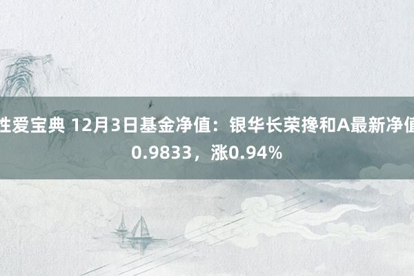 性爱宝典 12月3日基金净值：银华长荣搀和A最新净值0.9833，涨0.94%