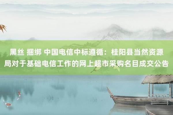 黑丝 捆绑 中国电信中标遵循：桂阳县当然资源局对于基础电信工作的网上超市采购名目成交公告