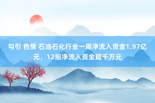 勾引 色情 石油石化行业一周净流入资金1.97亿元，12股净流入资金超千万元