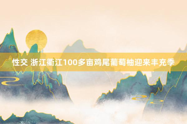 性交 浙江衢江100多亩鸡尾葡萄柚迎来丰充季