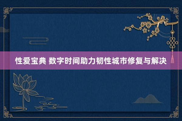 性爱宝典 数字时间助力韧性城市修复与解决