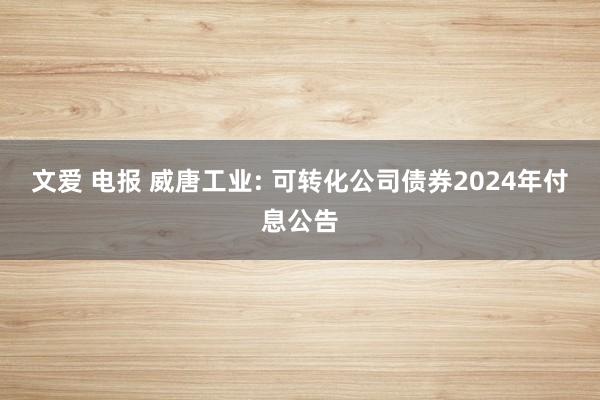 文爱 电报 威唐工业: 可转化公司债券2024年付息公告