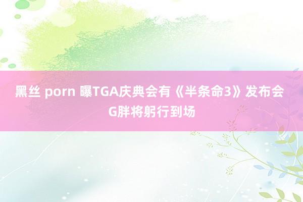 黑丝 porn 曝TGA庆典会有《半条命3》发布会 G胖将躬行到场