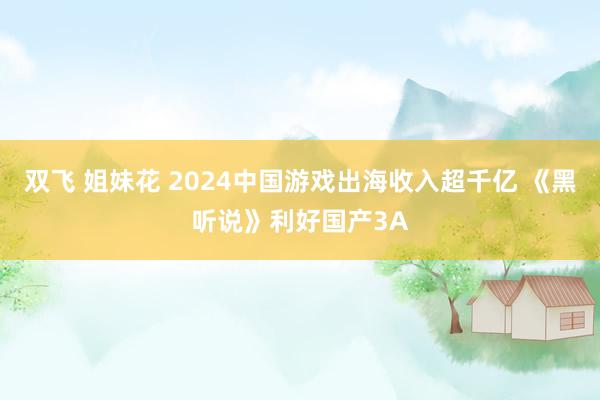 双飞 姐妹花 2024中国游戏出海收入超千亿 《黑听说》利好国产3A