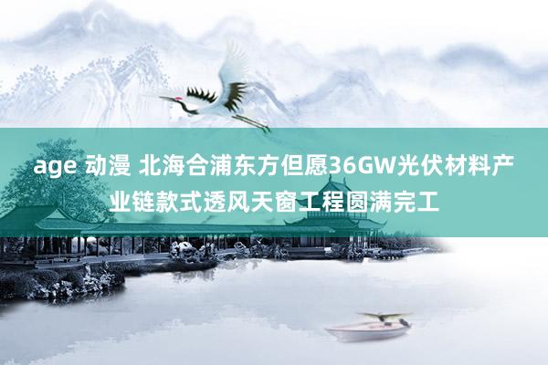 age 动漫 北海合浦东方但愿36GW光伏材料产业链款式透风天窗工程圆满完工