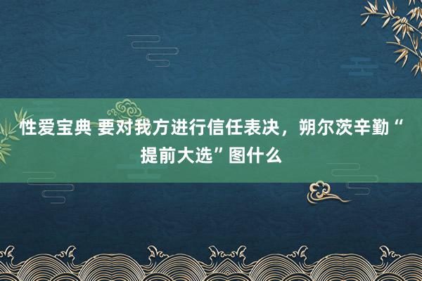 性爱宝典 要对我方进行信任表决，朔尔茨辛勤“提前大选”图什么