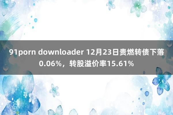 91porn downloader 12月23日贵燃转债下落0.06%，转股溢价率15.61%